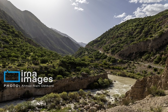 ایران زیباست | جلوه های بهاری در مشایخ