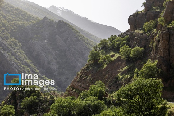 ایران زیباست | جلوه های بهاری در مشایخ