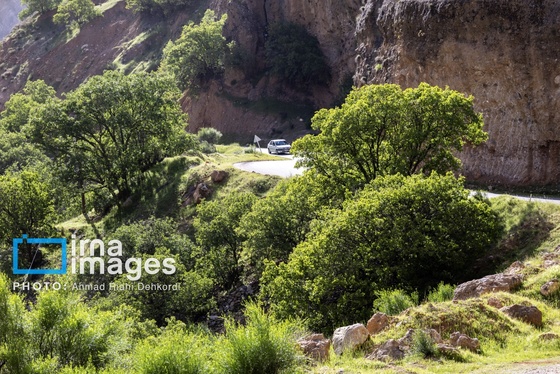 ایران زیباست | جلوه های بهاری در مشایخ