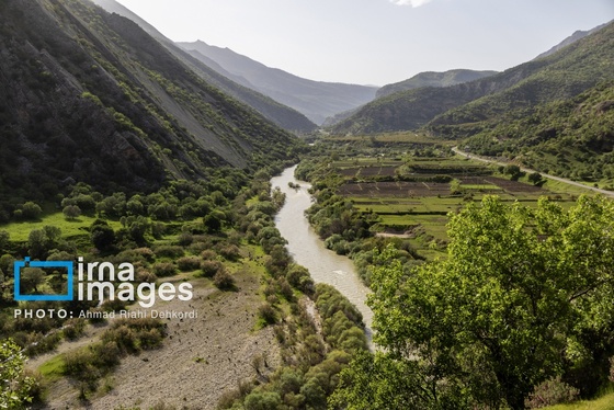 ایران زیباست | جلوه های بهاری در مشایخ