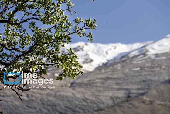 ایران زیباست | جلوه های بهاری در مشایخ