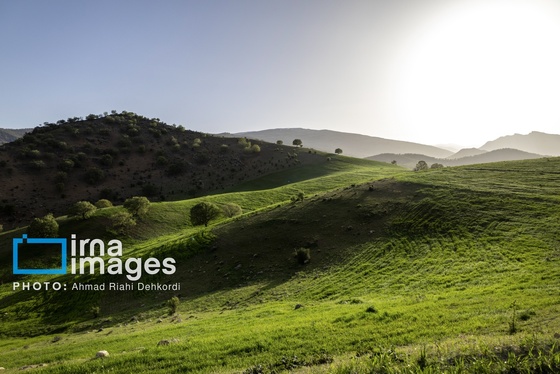 ایران زیباست | جلوه های بهاری در مشایخ