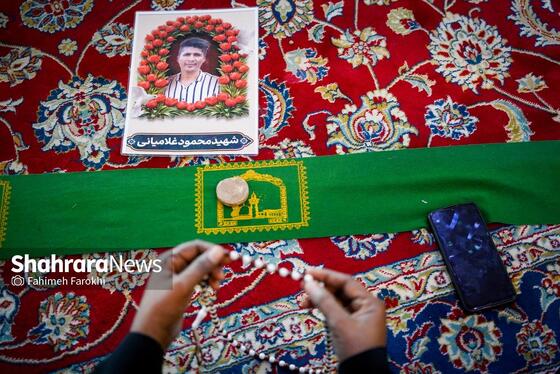 گزارش تصویری | حضور خانواده شهدای مدرسه «شجره طیبه» میناب در باغ خاتون مشهد