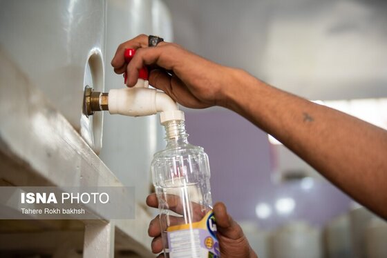 گزارش تصویری | برداشت گل محمدی و تهیه گلاب به یاد دانش‌آموزان شهید میناب - میمند