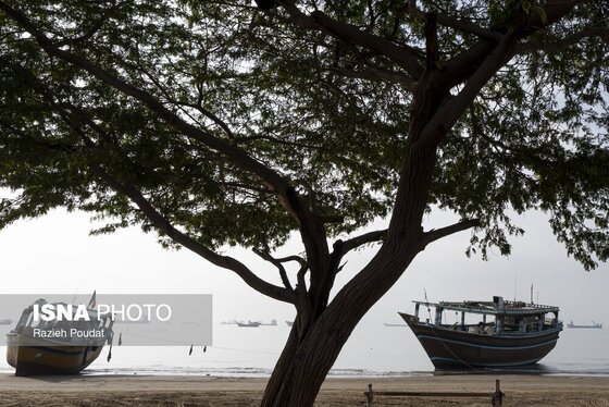 ایران زیباست | «سورو»؛ ساحلی رو به خلیج فارس