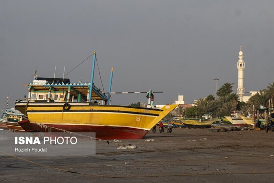 ایران زیباست | «سورو»؛ ساحلی رو به خلیج فارس