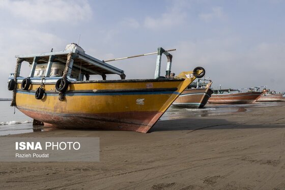 ایران زیباست | «سورو»؛ ساحلی رو به خلیج فارس