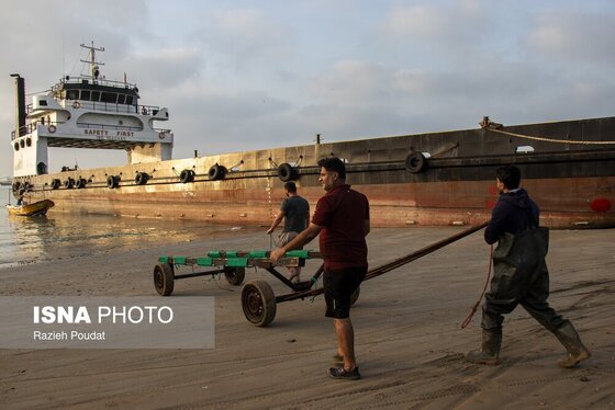 ایران زیباست | «سورو»؛ ساحلی رو به خلیج فارس