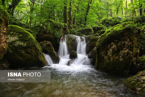 گزارش تصویری | دوم اردیبهشت، روز جهانی زمین پاک | طبیعت سوادکوه و زمینی که دیگر پاک نیست