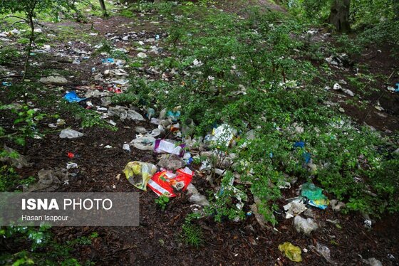 گزارش تصویری | دوم اردیبهشت، روز جهانی زمین پاک | طبیعت سوادکوه و زمینی که دیگر پاک نیست