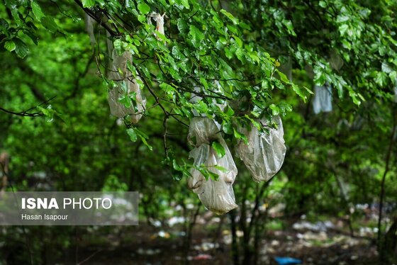 گزارش تصویری | دوم اردیبهشت، روز جهانی زمین پاک | طبیعت سوادکوه و زمینی که دیگر پاک نیست