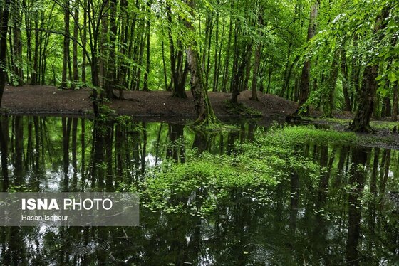 گزارش تصویری | دوم اردیبهشت، روز جهانی زمین پاک | طبیعت سوادکوه و زمینی که دیگر پاک نیست