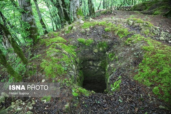 گزارش تصویری | دوم اردیبهشت، روز جهانی زمین پاک | طبیعت سوادکوه و زمینی که دیگر پاک نیست