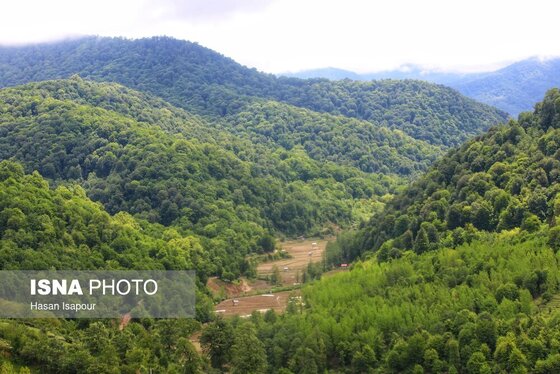 گزارش تصویری | دوم اردیبهشت، روز جهانی زمین پاک | طبیعت سوادکوه و زمینی که دیگر پاک نیست