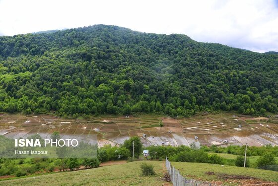 گزارش تصویری | دوم اردیبهشت، روز جهانی زمین پاک | طبیعت سوادکوه و زمینی که دیگر پاک نیست