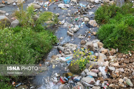 گزارش تصویری | دوم اردیبهشت، روز جهانی زمین پاک | طبیعت سوادکوه و زمینی که دیگر پاک نیست