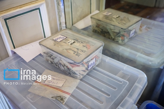 گزارش تصویری | اثر جنگ بر پیشانی کاخ سعدآباد