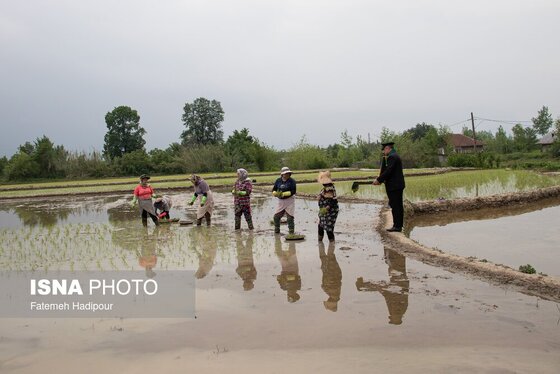 گزارش تصویری | کاروان زیر سایه خورشید - گیلان