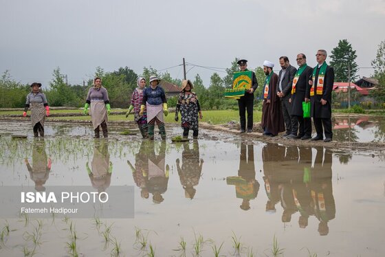 گزارش تصویری | کاروان زیر سایه خورشید - گیلان