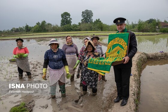 گزارش تصویری | کاروان زیر سایه خورشید - گیلان