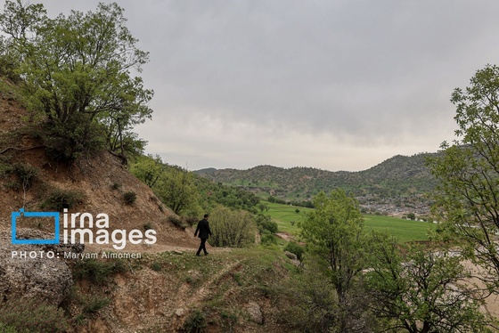 گزارش تصویری | معلم دهکده