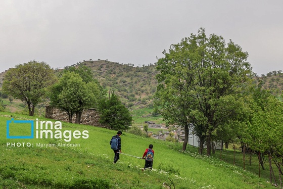گزارش تصویری | معلم دهکده
