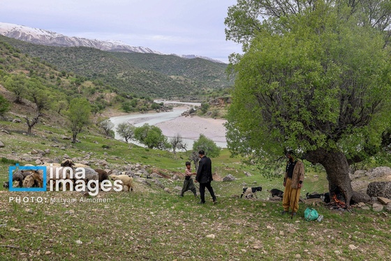 گزارش تصویری | معلم دهکده