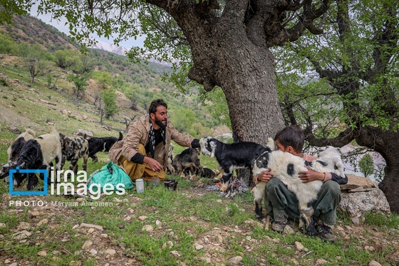 گزارش تصویری | معلم دهکده