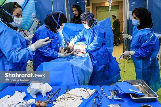 گزارش تصویری | «روز جهانی ماما» اولین همراه زندگی