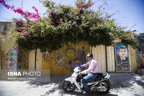 گزارش تصویری | ۱۵ اردیبهشت؛ روز شیراز | شیراز؛ شهر کهن ایران