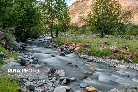 ایران زیباست | طبیعت بهاری «طارُم»، هندوستان ایران