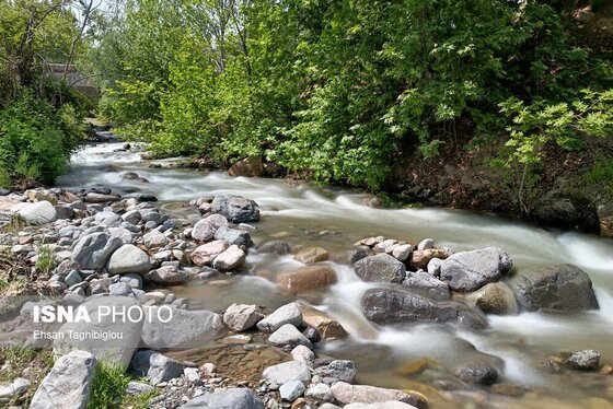 ایران زیباست | طبیعت بهاری «طارُم»، هندوستان ایران