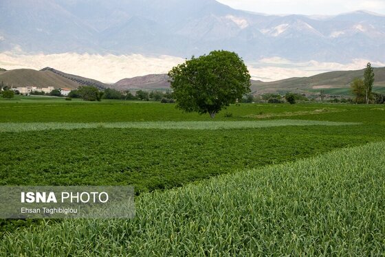 ایران زیباست | طبیعت بهاری «طارُم»، هندوستان ایران