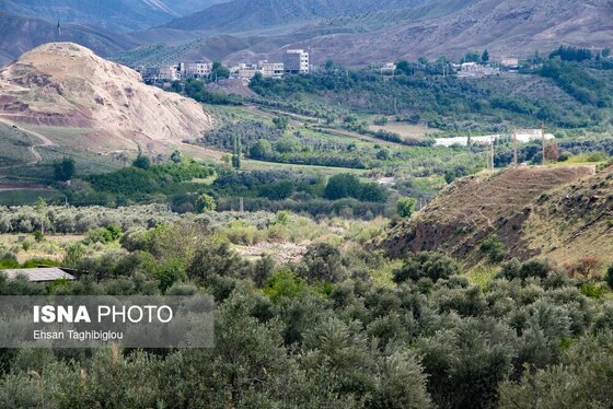 ایران زیباست | طبیعت بهاری «طارُم»، هندوستان ایران