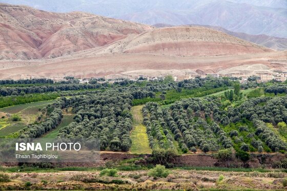 ایران زیباست | طبیعت بهاری «طارُم»، هندوستان ایران