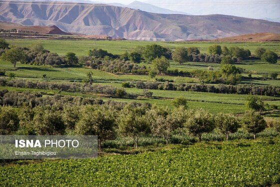 ایران زیباست | طبیعت بهاری «طارُم»، هندوستان ایران