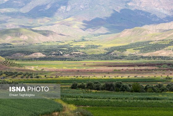 ایران زیباست | طبیعت بهاری «طارُم»، هندوستان ایران