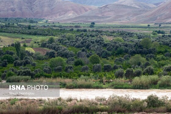 ایران زیباست | طبیعت بهاری «طارُم»، هندوستان ایران