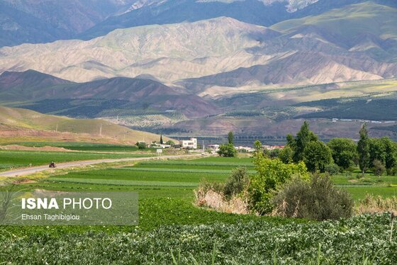 ایران زیباست | طبیعت بهاری «طارُم»، هندوستان ایران