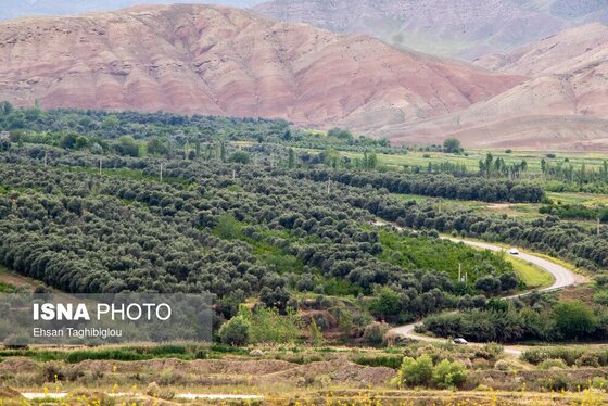 ایران زیباست | طبیعت بهاری «طارُم»، هندوستان ایران