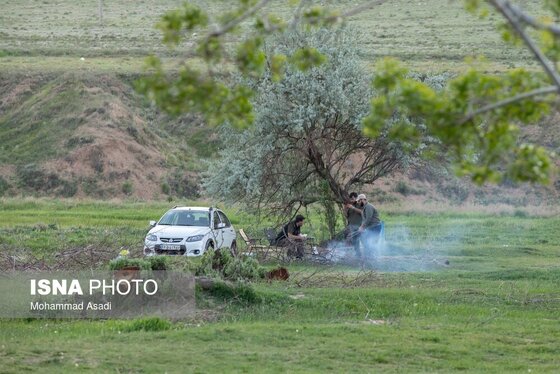 گزارش تصویری | قطع گسترده درختان روستای «اسکان» - شازند