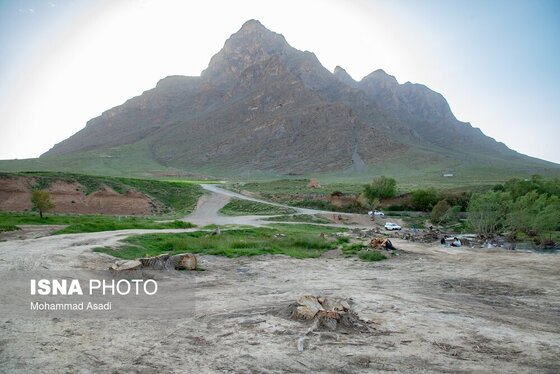 گزارش تصویری | قطع گسترده درختان روستای «اسکان» - شازند