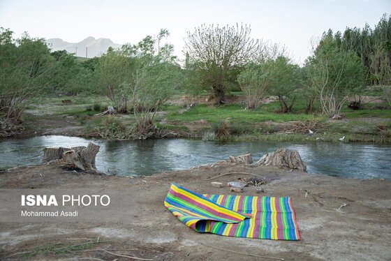 گزارش تصویری | قطع گسترده درختان روستای «اسکان» - شازند