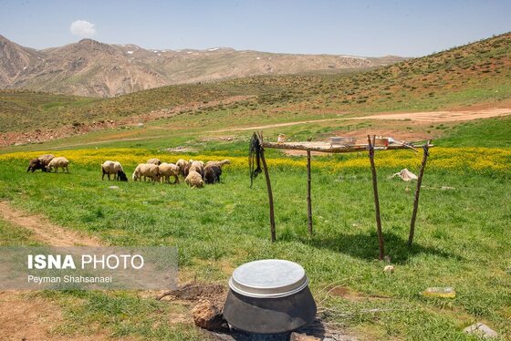 ایران زیباست | سرحد عشایر ایل قشقایی