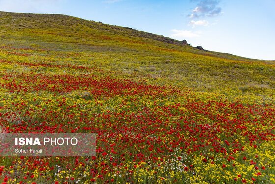 ایران زیباست | طبیعت هزار رنگ جلگه ارومیه