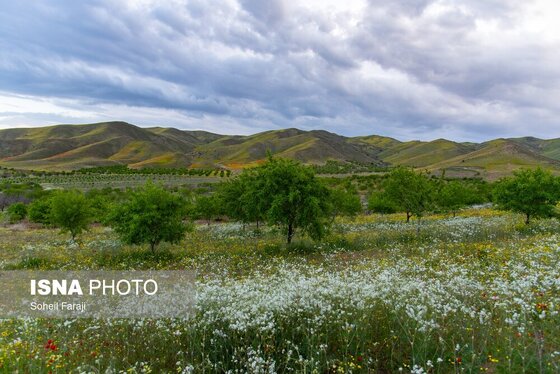 ایران زیباست | طبیعت هزار رنگ جلگه ارومیه