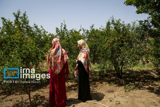 گزارش تصویری | تحصیل در باغ خانه معلم