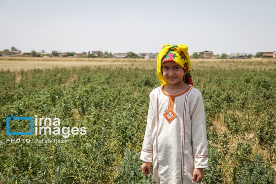 گزارش تصویری | تحصیل در باغ خانه معلم
