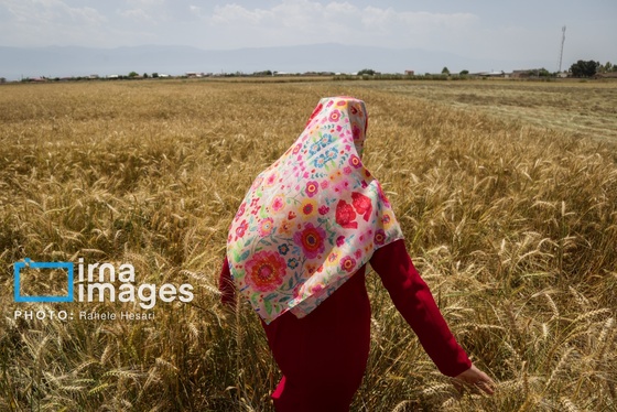 گزارش تصویری | تحصیل در باغ خانه معلم