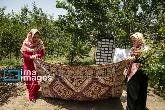 گزارش تصویری | تحصیل در باغ خانه معلم